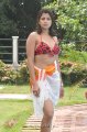 Nadeesha Hemamali Hot Bikini Stills