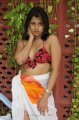 Nadeesha Hemamali Hot Bikini Stills