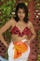 Nadeesha Hemamali Hot Bikini Stills