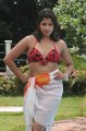 Nadeesha Hemamali Hot Bikini Stills