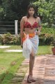 Nadeesha Hemamali Hot Bikini Stills