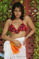 Nadeesha Hemamali Hot Bikini Stills