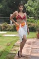 Nadeesha Hemamali Hot Bikini Stills