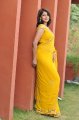 Nadeesha Hemamali Hot Saree Stills