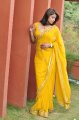 Nadeesha Hemamali Hot Saree Stills