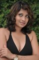 Nadeesha Hemamali Hot Spicy Stills