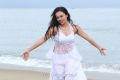 Actress Sana Khan Hot Photos in Climax Movie