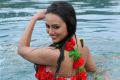 Actress Sana Khan in Nadigayin Diary Movie Hot Stills