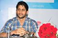 Naga Chaitanya at Sri Harsha Foundation Event Photos