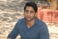 Thadaka Movie Actor Naga Chaitanya Interview Photos