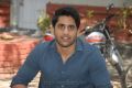 Naga Chaitanya Interview Photos about Tadakha Movie