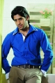 Naga Chaitanya Pics Photos in 100% love