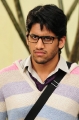 Naga Chaitanya Pics Photos in 100% love