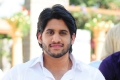 Naga Chaitanya Pics Photos in 100% love