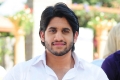 Naga Chaitanya Pics Photos in 100% love