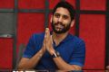 Venky Mama Hero Naga Chaitanya Press Meet Stills