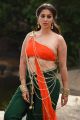 Naga Kanya Heroine Lakshmi Rai HD Images