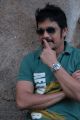 Actor Nagarjuna Latest Stills at Greeku Veerudu Interview