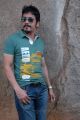 Nagarjuna Latest Stills at Greeku Veerudu Interview