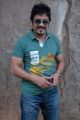 Actor Akkineni Nagarjuna Stills at Greeku Veerudu Interview