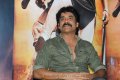 Nagarjuna Latest Photo Gallery