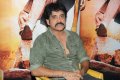 Nagarjuna Latest Photo Gallery