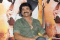 Nagarjuna Latest Photo Gallery