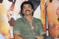 Nagarjuna Latest Photo Gallery