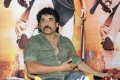 Nagarjuna Latest Photo Gallery