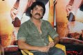 Nagarjuna Latest Photo Gallery