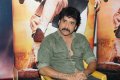 Nagarjuna Latest Photo Gallery