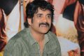 Nagarjuna Latest Photo Gallery