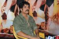 Nagarjuna Latest Photo Gallery