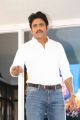 Nagarjuna Ram Gopal Varma Movie Opening Stills