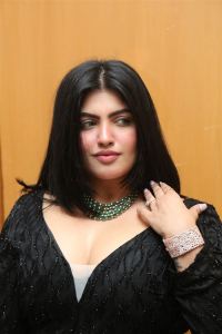 Suryapet Junction Actress Naina Sarwar Photos