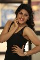 Telugu Actress Naira Shah Stills @ E Ee Press Meet