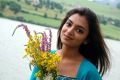 Actress Nazriya Nazim in Naiyaandi Tamil Movie Stills