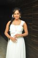 Actress Nakshatra Hot Pics at Rojulu Marayi Audio Release