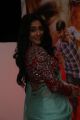 Actress Regina Cassandra @ Nakshatram Movie Audio Launch Stills