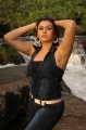Namitha Latest Hot Photos Gallery