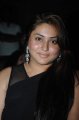 Namitha Latest Hot Pictures