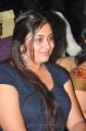 Actress Namitha New Hot Pics