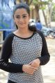 Actress Namitha Pramod Pictures @ Chuttalabbayi Press Meet