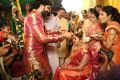 Tamil Actress Namitha Veera Marriage Photos