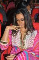 Namrata Shirodkar Photos Gallery