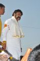 Nandamuri Balakrishna at NTR statue, Karimnagar Photos