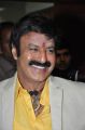 Nandamuri Balakrishna Latest Photos @ Lion Audio Launch