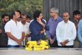 Nandamuri Family Members at NTR Ghat Photos