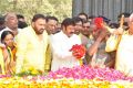 Nandamuri Family Members at NTR Ghat Photos