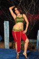 Nandeeswarudu Sheena Hot Spicy Stills